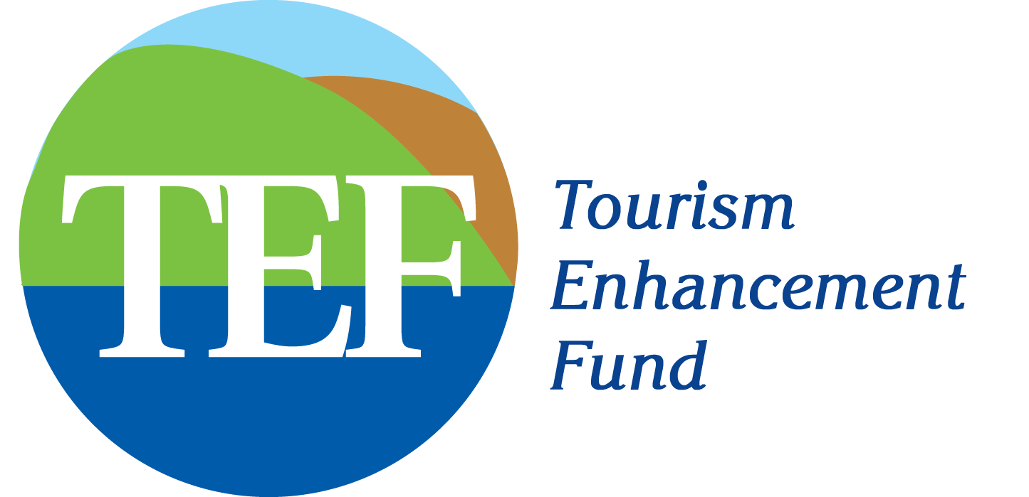 TEF LOGO PNG